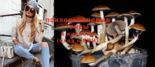 соль курить ск Белокуриха