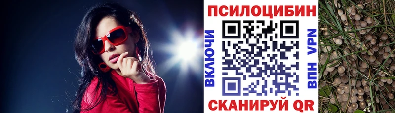 Галлюциногенные грибы ЛСД  Верея 